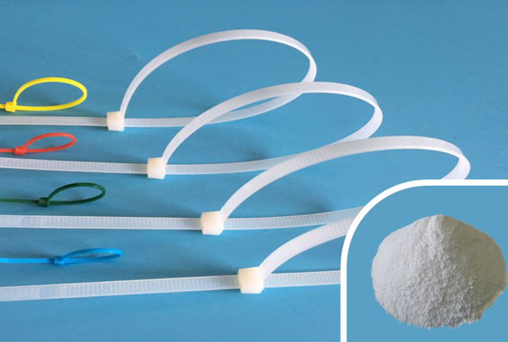 عامل هسته ای XS-CH-101 برای PA